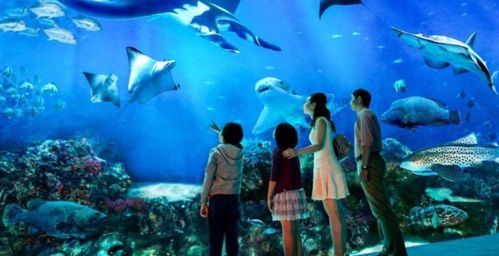 奇形怪状的近义词二年级上册，奇形怪状的近义词是什么?反义词是什么?