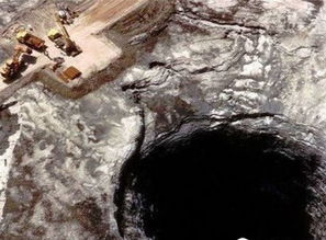 天坑专业，天坑鹰猎小说