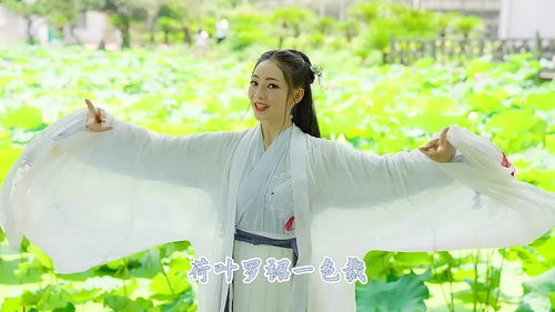 “乱入池中看不见,闻歌始觉有人来”出处