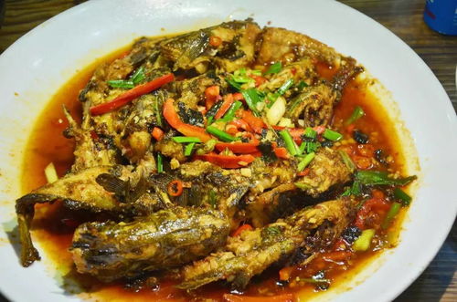 回头鱼图片，回头鱼价格