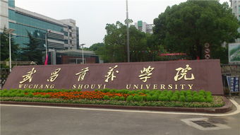 湖北民办大学学费排名