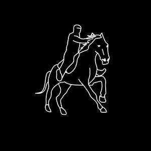 gallop是什么品牌的轮胎