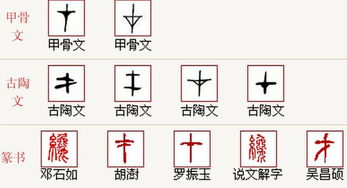 绞丝旁的字儿有哪些，绞丝旁的字一般与什么有关