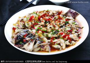 回头鱼是什么鱼?