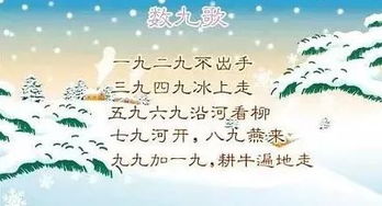 数九天是什么意思什么时候叫数九天