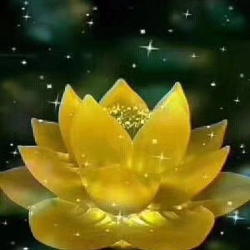 七朵莲花原唱，七朵莲花霍尊