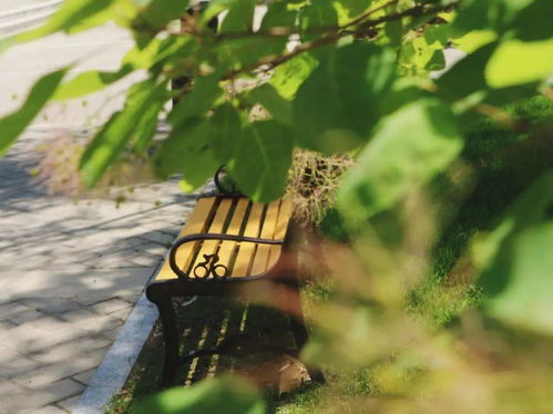 四月清和雨乍晴,当轩青嶂冷如冰，四月清和雨乍晴,南山当户转分明是什么生肖