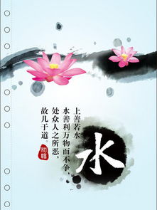 上善若水科技有限公司与世界之家什么关系?