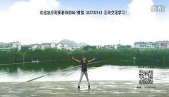 weiwei法国慢摇的中文版叫什么名字?