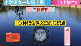 “蜗牛”的拼音是几声?