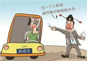 自以为是的近义词，自以为是的生肖