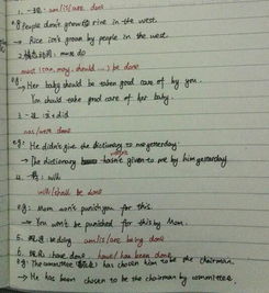 一般过去时造句5个，主谓宾一般过去时造句