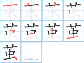 茧组词,用茧字怎么组词