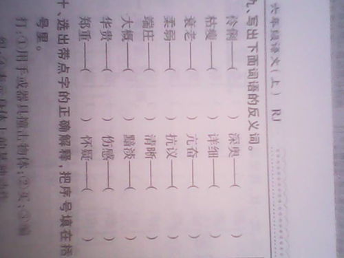 贵的反义词是什么词，高贵的反义词