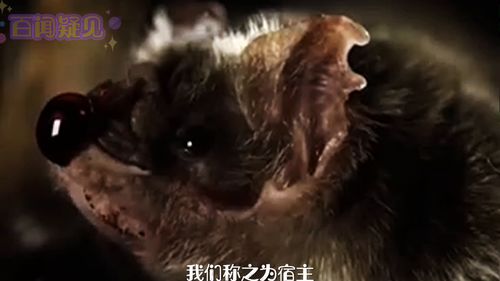 洪水蔓延的意思，无限蔓延的意思