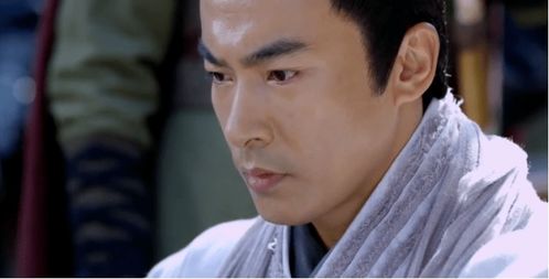 刘玄是淮阳王刘钦的儿子吗?