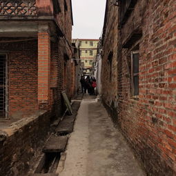 深巷明朝卖杏花，深巷陶幺