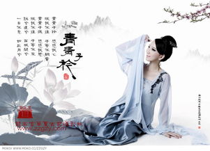纵我不往子宁不嗣音上一句，青青子衿纵我不往子宁不嗣音