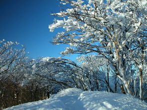 七月飞雪有什么预兆，七月飞雪必有冤情