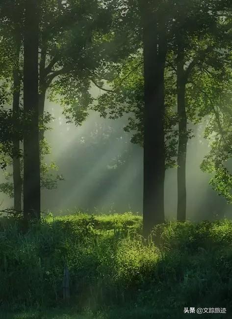 “心静如水”的下一句是什么意思?