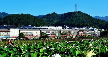 古田天气预报一周7天，古田天气预报15天天气查询