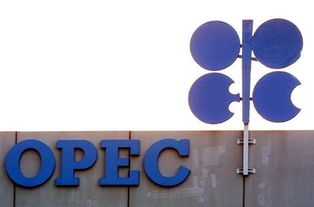opec+是哪些国家，opec是什么意思