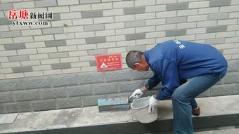 如何科学有效地灭鼠