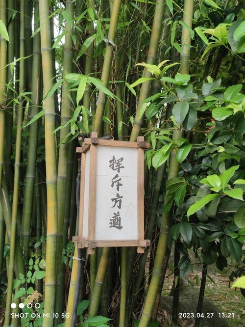 什么百什么放的成语，什么百花齐放造句