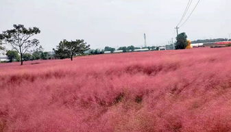 黛的意思，红唇粉黛的意思