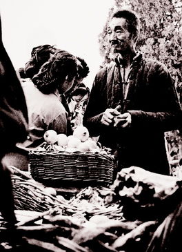 待价而沽的读音，待价而沽造句