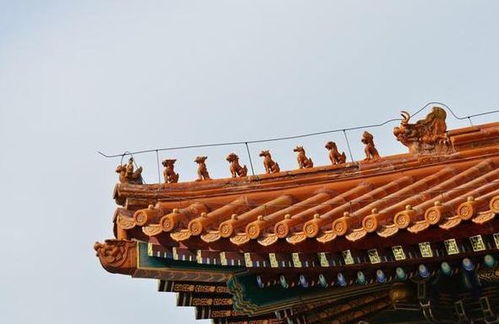 五脊六兽是什么意思