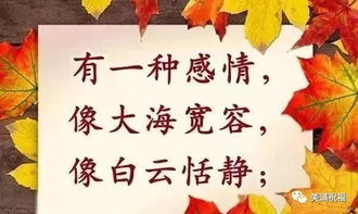 难忘的同学作文500字