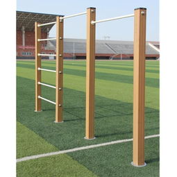 这种运动器械叫什么?