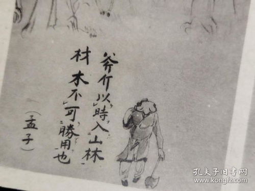 斧金以时入山林,林木不可胜用也 是什么意思?