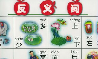 开始的反义词