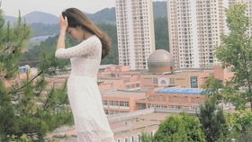 新概念volcanoes，Volcanoes 翻译