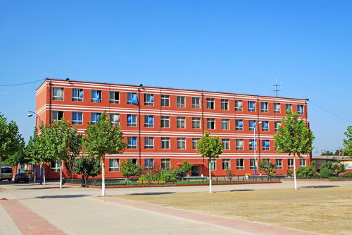 300分专科学校有哪些，300分专科学校山东