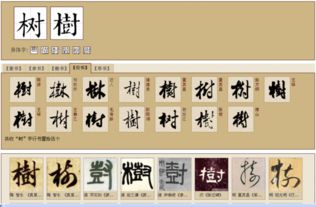 子字的笔顺怎么写，树字的笔顺笔画顺序表