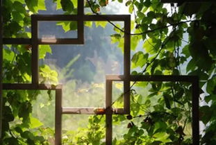 窗外的作文400字