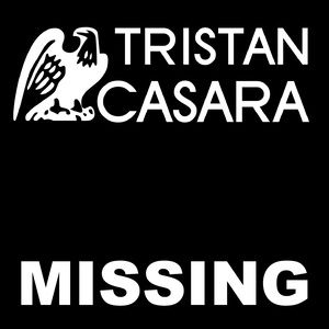 missing是想念的意思吗?