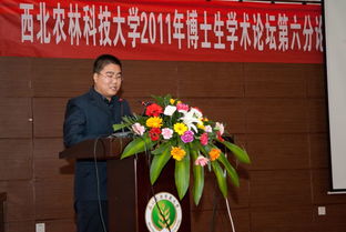 residue是什么指令，Residues of a dream