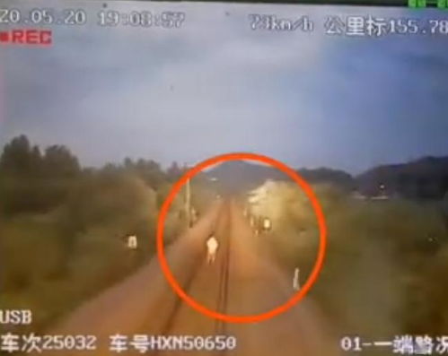 触目是什么意思