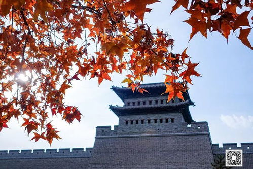 秋潮夜落空江渚全诗，秋潮来时人们的语言动作神态