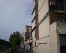 天下一家人是什么生肖，天下一家生肖正确答案2023年