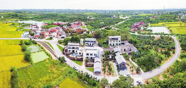 星光村位于哪个省哪个市