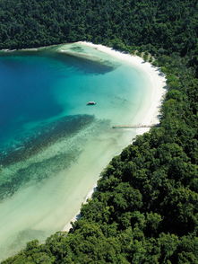 岛屿心情乐队，岛屿化作小星星海洋里放光明