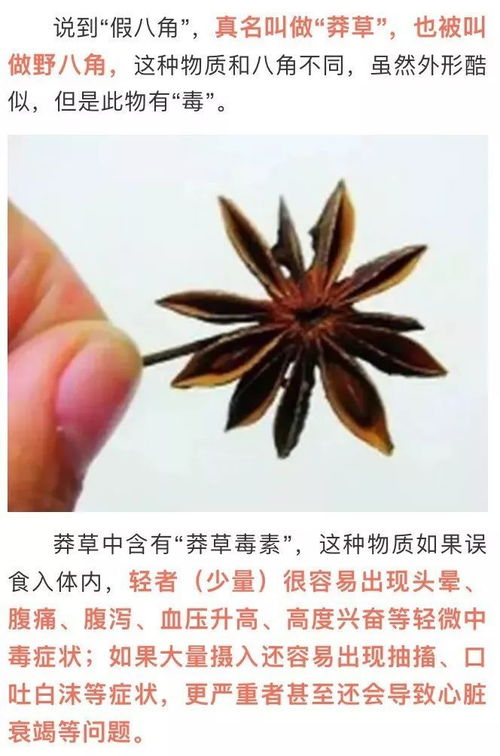 相像的意思解释，相像相象的意思