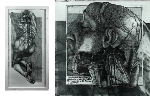 fine art与fine arts区别