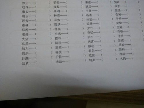 搜索的近义词是什么 标准答案，搜索的近义词是啥?