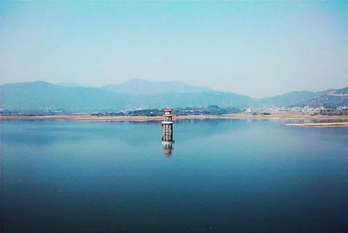 依傍是什么意思